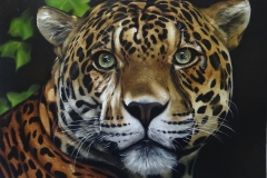 41032908_274783386581475_8481220667566456832_n