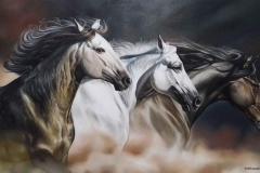 48926374_318562315536915_332336396041715712_n