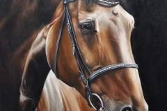 48991563_318562295536917_4091029552862593024_n