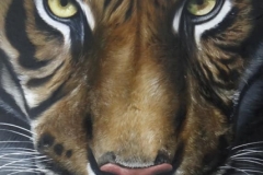 49307576_319441065449040_4583659991021387776_n