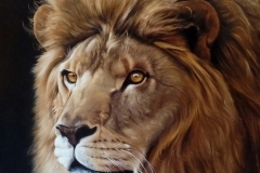 57844f71-5f2d-406f-b853-5c384889f50d