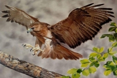 654b54f9-c3af-44ab-85a4-e25c589981b8