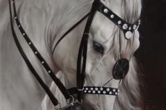 8282e5bf-51c7-48b2-aa04-e1eee99b179f