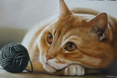 848eb011-9358-4477-8200-39469a7efb98