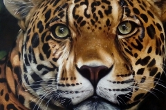 87d3c44e-5817-4378-9d3e-eaf1e278d95b