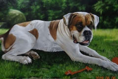 99d4cad2-1559-408b-8c31-e2f568fa7b4b