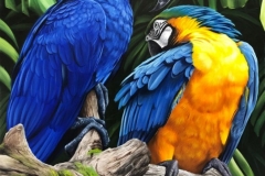 WhatsApp-Image-2019-08-13-at-15.09.37