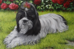 c1259311-d24a-4a9d-9ba4-432568688670