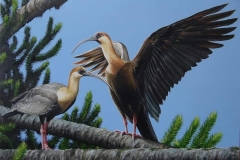 c337784e-1144-4ddf-a195-0c7f6f8f549c