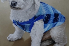 c6a1625c-b733-47ac-b72b-72f9e7d3f132