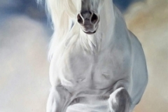 faa31e48-b10c-4a01-b100-b9213381658b