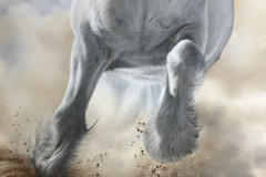 Curso-de-Pintura-exclusiva-de-Cavalo-Elton-Brunetti-04