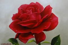 Rosa-Vermelha-Óleo-Sobre-Tela-Elton-Brunetti