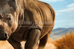 1_Rinoceronte-oleo-sobre-tela-70-x-90-cm-por-Elton-Brunetti-4