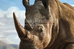 Rinoceronte-oleo-sobre-tela-70-x-90-cm-por-Elton-Brunetti-2