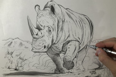 Rinoceronte-oleo-sobre-tela-70-x-90-cm-por-Elton-Brunetti-5