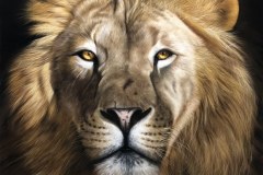 tela-1-pintura-de-um-leao-curso-de-desenho-e-pintura-de-felinos-Elton-Brunetti-img-01