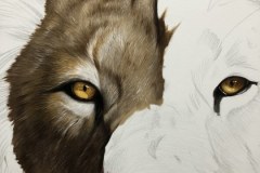 tela-1-pintura-de-um-leao-curso-de-desenho-e-pintura-de-felinos-Elton-Brunetti-img-02