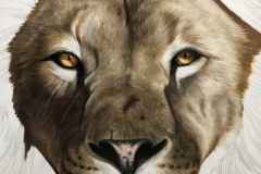 tela-1-pintura-de-um-leao-curso-de-desenho-e-pintura-de-felinos-Elton-Brunetti-img-03