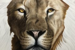 tela-1-pintura-de-um-leao-curso-de-desenho-e-pintura-de-felinos-Elton-Brunetti-img-04