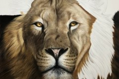 tela-1-pintura-de-um-leao-curso-de-desenho-e-pintura-de-felinos-Elton-Brunetti-img-06