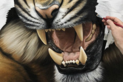 4-pintura-de-um-tigre-Elton-Brunetti