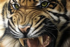 Pintura-de-um-tigre-por-Elton-Brunetti