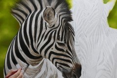pintura-de-zebras-oleo-sobre-tela-80-x-90-cm-Elton-Brunetti-03