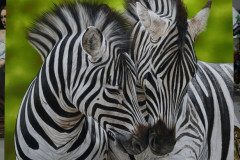 pintura-de-zebras-oleo-sobre-tela-80-x-90-cm-Elton-Brunetti-05
