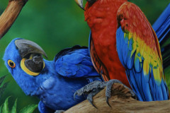 pintura-Araras-oleo-sobre-tela-80-x-100-cm-por-Elton-Brunetti