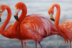 pintura-em-tela-de-Flamingos-Elton-Brunetti