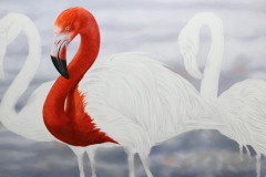 pintura-em-tela-de-Flamingos-Elton-Brunetti.JPG-01