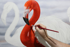 pintura-em-tela-de-Flamingos-Elton-Brunetti.JPG-02