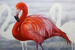 pintura-em-tela-de-Flamingos-Elton-Brunetti.JPG-04