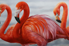 pintura-em-tela-de-Flamingos-Elton-Brunetti.JPG-07