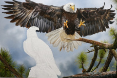 pintura-de-aguia-70x100-cm-Elton-Brunetti-04