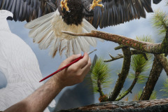 pintura-de-aguia-70x100-cm-Elton-Brunetti-05