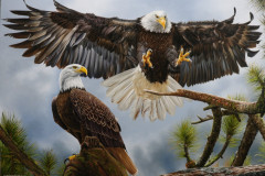 pintura-de-aguia-70x100-cm-Elton-Brunetti