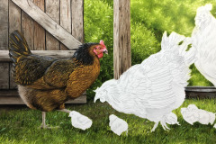 pintura-de-galinhas-por-Elton-Brunetti-01