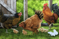pintura-de-galinhas-por-Elton-Brunetti-04