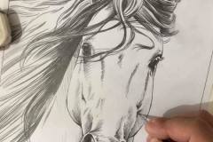 pintura-cavalo-branco-por-elton-brunetti-1