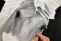 pintura-cavalo-branco-por-elton-brunetti-2