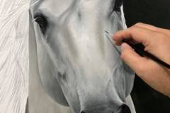 pintura-cavalo-branco-por-elton-brunetti-3