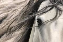 pintura-cavalo-branco-por-elton-brunetti-4