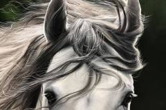 pintura-cavalo-branco-por-elton-brunetti-5