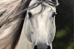 Mais de 100 desenhos de cavalos para colorir!  Cavalo desenho, Desenho  fácil de cavalo, Cavalos