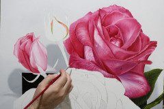 pintura-de-rosas-curso-Floral-Elton-Brunetti-01