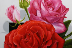 pintura-de-rosas-curso-Floral-Elton-Brunetti-06