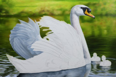 pintura-em-tela-de-cisnes-Elton-Brunetti-03
