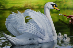 pintura-em-tela-de-cisnes-Elton-Brunetti